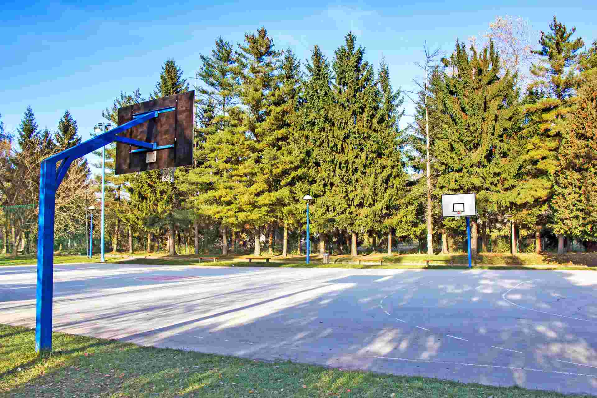 Basket, rete metallica per canestro: perché utilizzarla?
